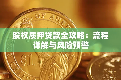 北京股权质押贷款全攻略：流程详解与风险预警