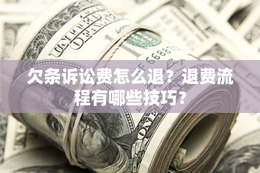 北京欠条诉讼费怎么退？退费流程有哪些技巧？