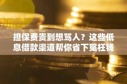 北京担保费贵到想骂人？这些低息借款渠道帮你省下冤枉钱