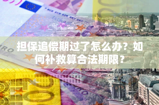 北京担保追偿期过了怎么办？如何补救算合法期限？