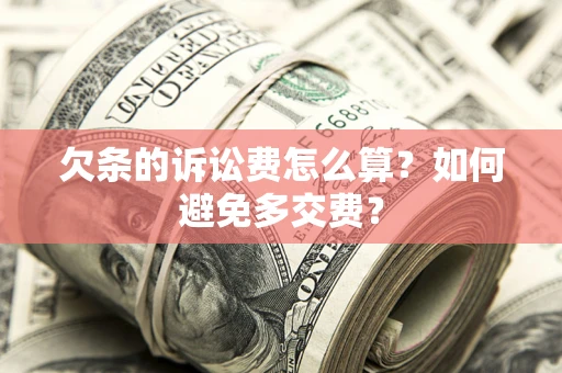 北京欠条的诉讼费怎么算？如何避免多交费？