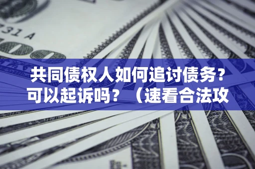 北京共同债权人如何追讨债务？可以起诉吗？（速看合法攻略）