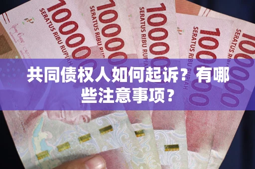 北京共同债权人如何起诉？有哪些注意事项？