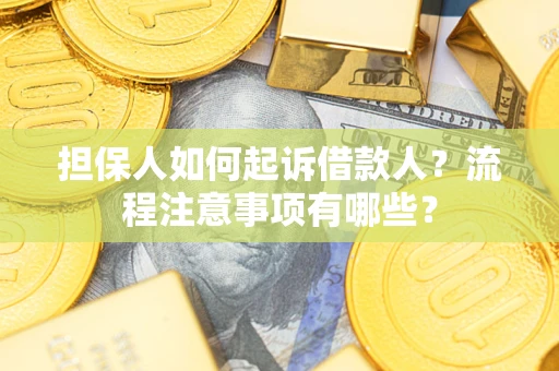 北京担保人如何起诉借款人？流程注意事项有哪些？